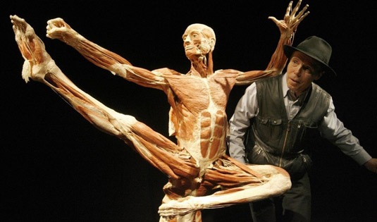 Выставка - человеческое тело