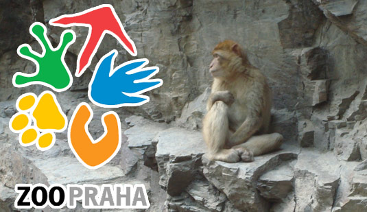 Зоопарк Праги привел статистику за прошлый год